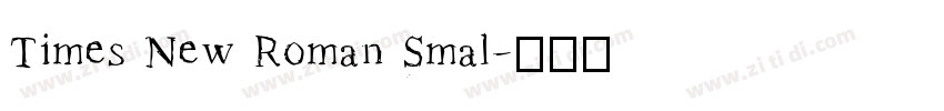 Times New Roman Smal字体转换 Times New Roman Smal字体转换